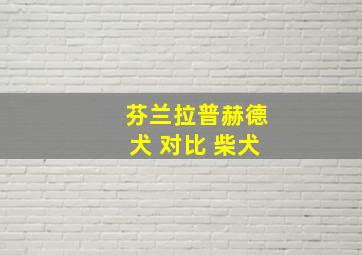 芬兰拉普赫德犬 对比 柴犬